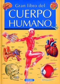 El cuerpo humano